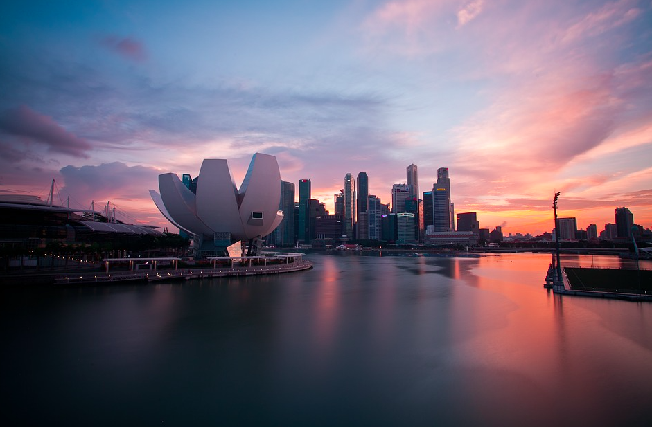 Foreign Direct Investment In Singapore